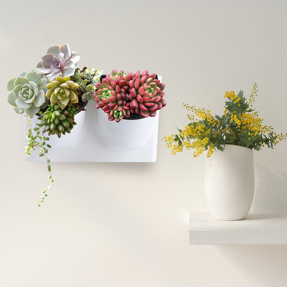 Self-Watering Planter - 자가 급수 화분 플라스틱 바이올렛 화분