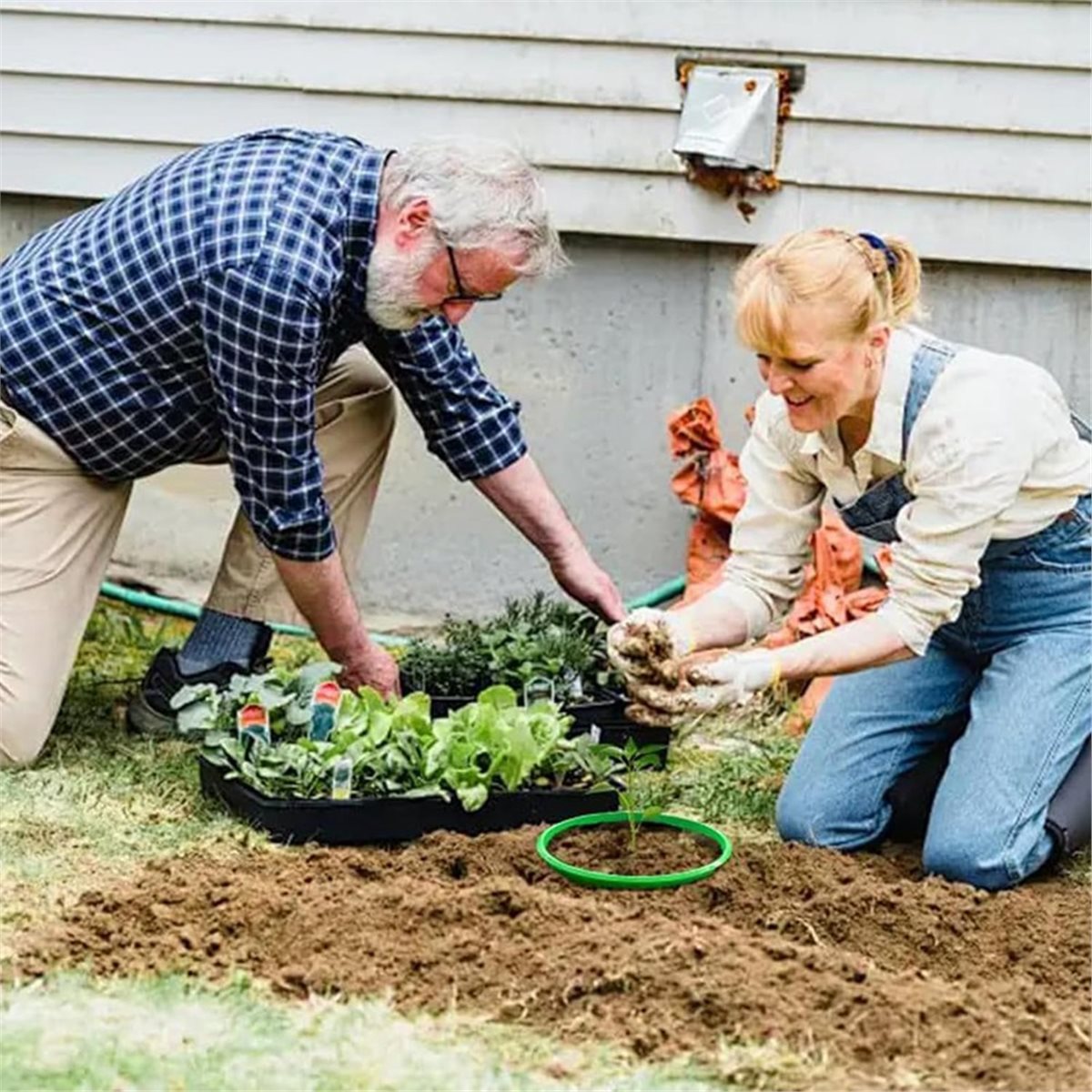 Gardening Tools Big - 대폭 할인! 뿌리 급수 및 잡초