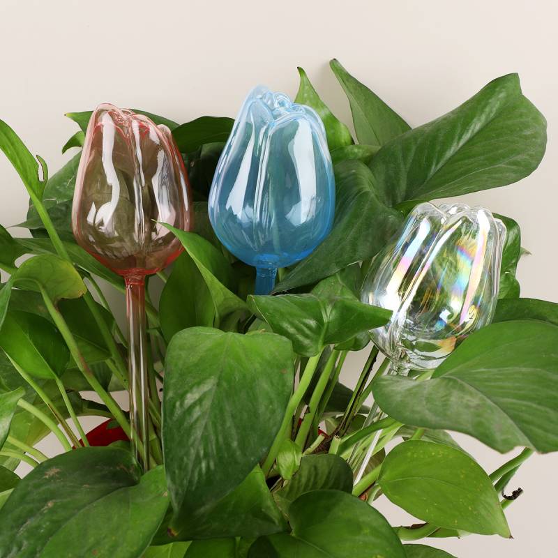 Automatic Plant Waterer - 유리 식물 급수기 1개, 자동 식물
