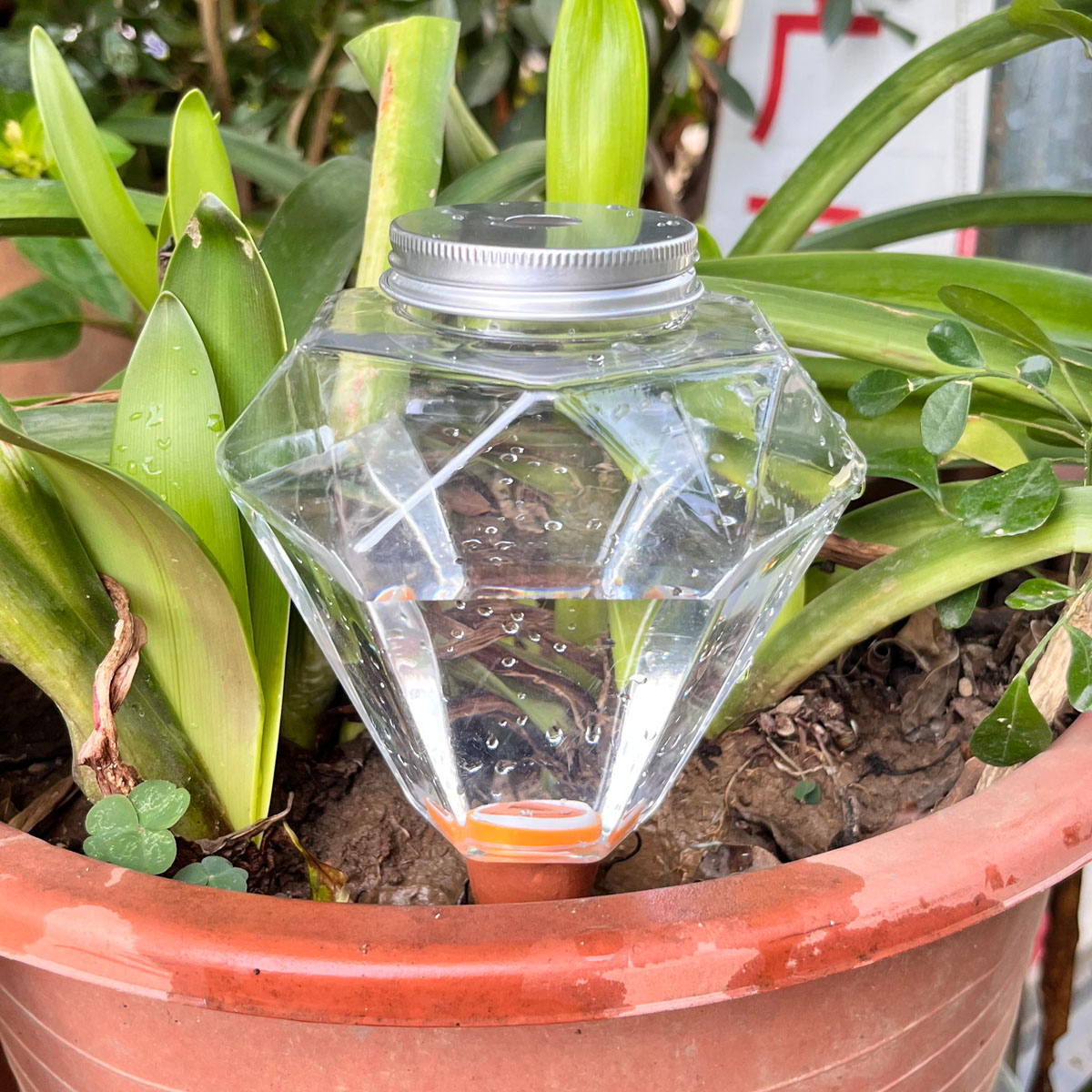 Automatic Plant Waterer - 귀여운 플라스틱 자동 급수기 1개, 실내외