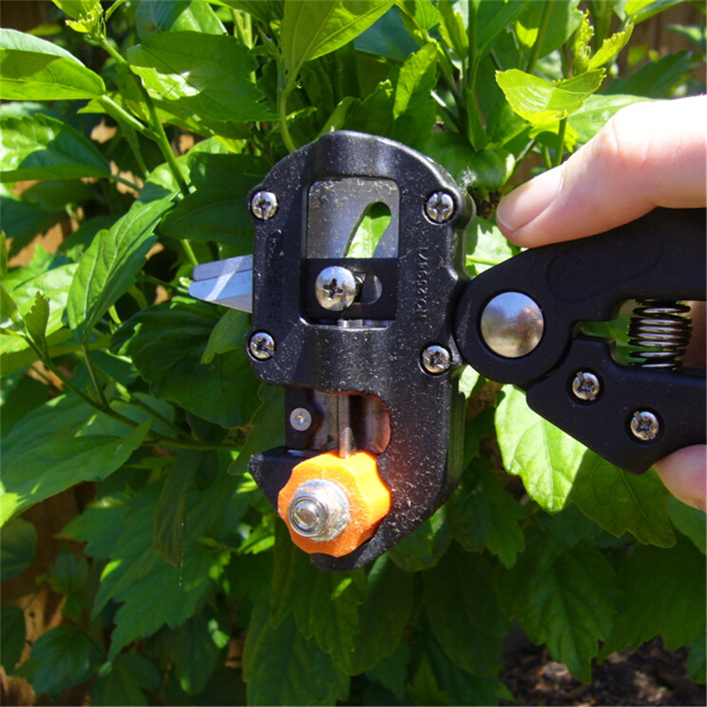 다기능 접목 가위, 묘목장 및 과수원용 테이프와 칼날이 - Gardening Tools Japanese 리뷰 및 가격