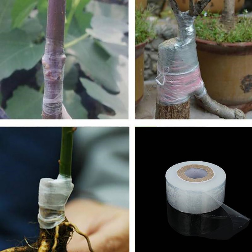 다기능 접목 가위, 묘목장 및 과수원용 테이프와 칼날이 - Gardening Tools Japanese 리뷰 및 가격
