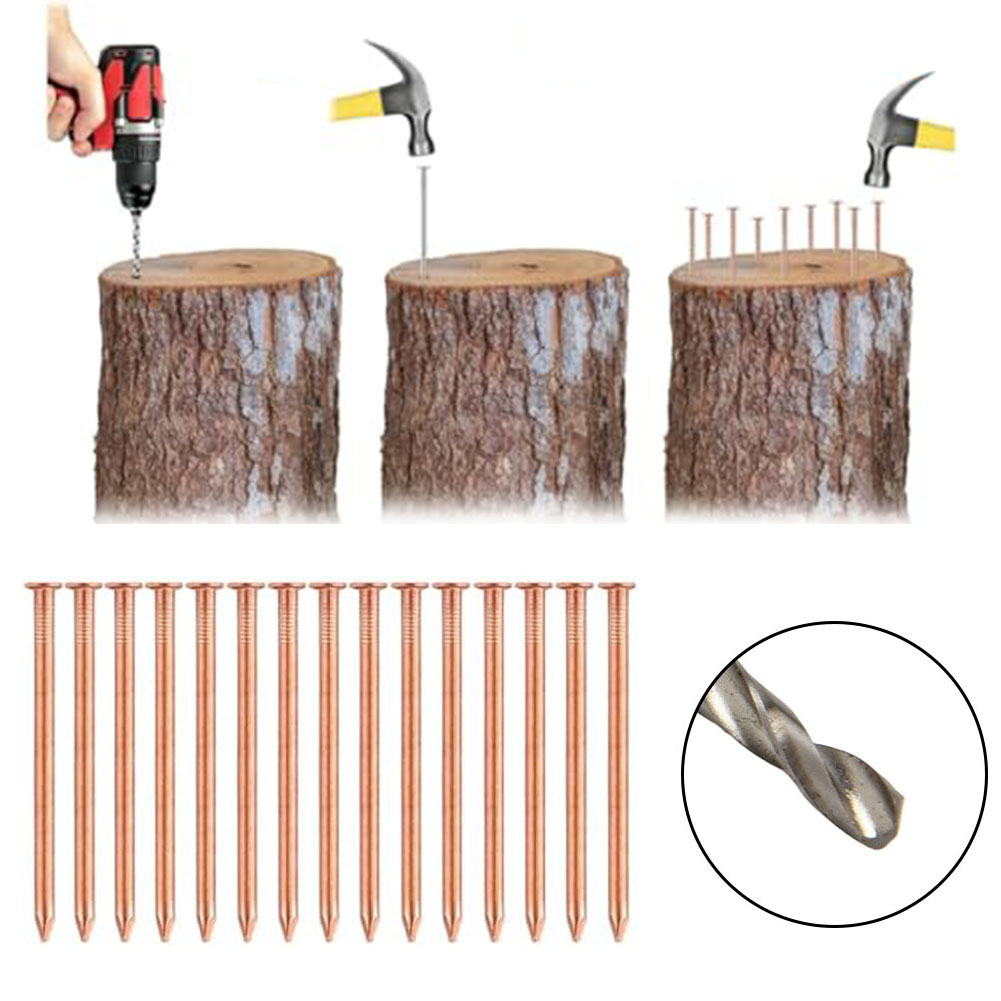 나무 그루터기용 2인치 순동 못 – 그루터기 제거용 뿌 - Gardening Tools Target 리뷰 및 가격