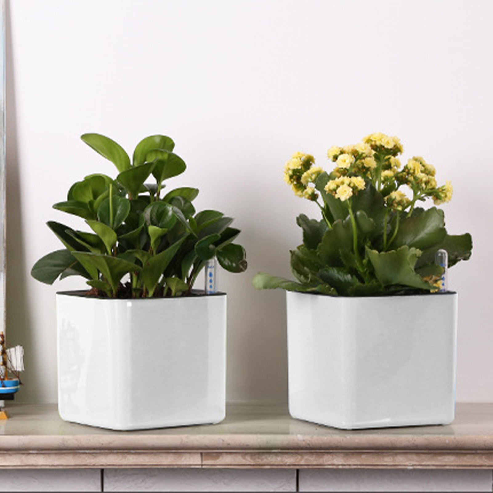 3가지 크기의 자동 급수 화분, 녹색 식물용 자동 흡수 - Automatic Plant Waterer 리뷰 및 가격