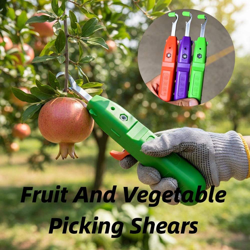 과일 및 채소 수확용 가위, 정원용 전정 가위, 곡선형 - Gardening Tools Wholesale 리뷰 및 가격