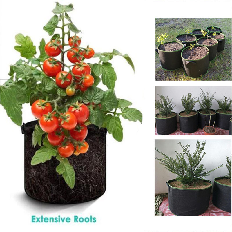 20Gal 성장 냄비 야채 꽃 가방 심기 용 원예 도구 - Gardening Tools Big 리뷰 및 가격