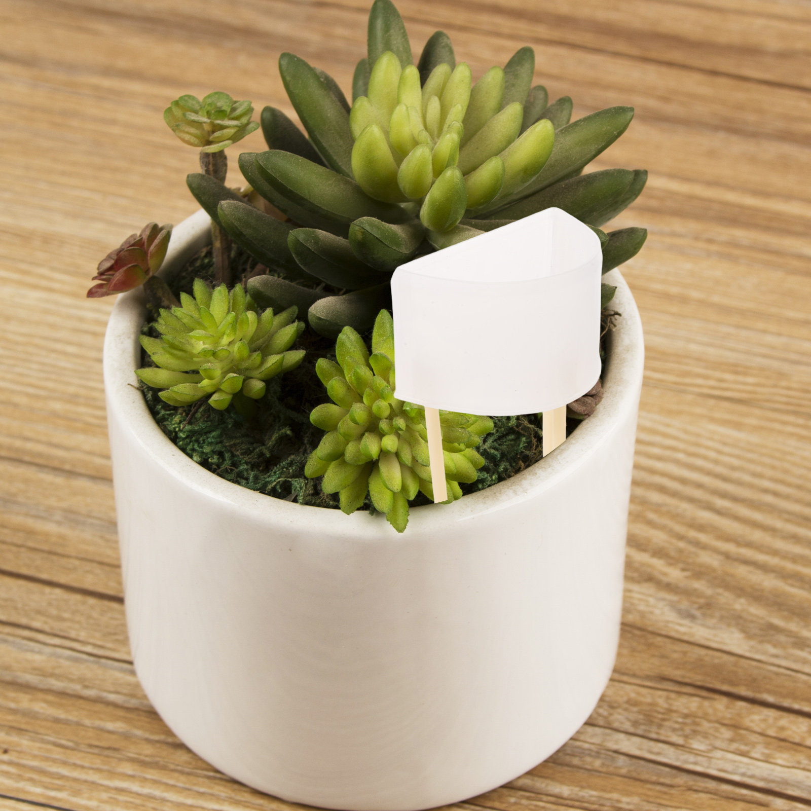 자동 이끼 기둥 급수 스파이크 조절 가능한 유량 제어  - Automatic Plant Waterer 리뷰 및 가격