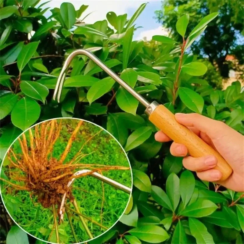 스테인레스 스틸 원예 잡초 수동 제거 휴대용 도구, 가 - Gardening Tools Japanese 리뷰 및 가격