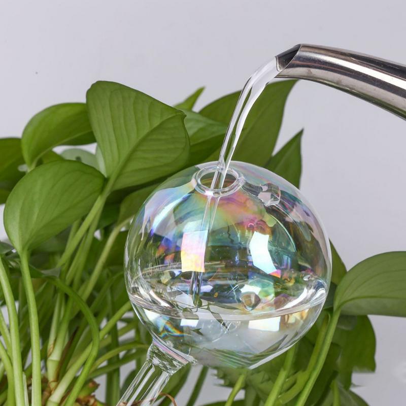 자동 식물 급수 전구, 유리 자체 급수 공, 맑은 꽃, - Automatic Plant Waterer 리뷰 및 가격