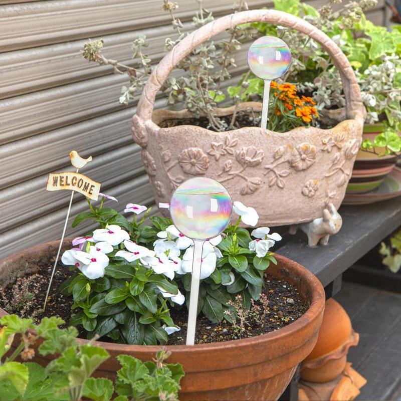 자동 식물 급수 전구, 유리 자체 급수 공, 맑은 꽃, - Automatic Plant Waterer 리뷰 및 가격