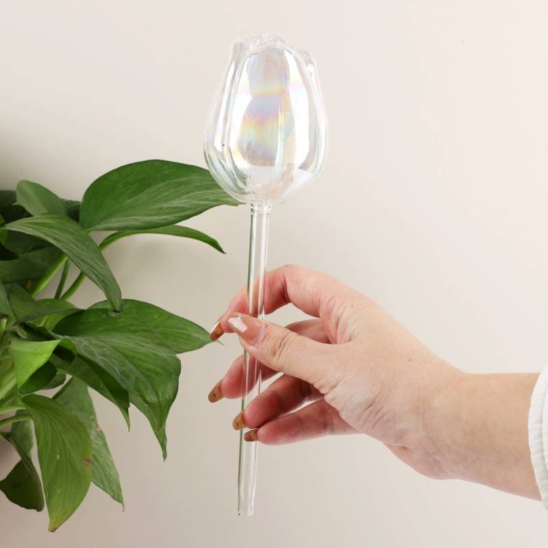 유리 식물 급수기 1개, 자동 식물 급수기, 유리 꽃  - Automatic Plant Waterer 리뷰 및 가격