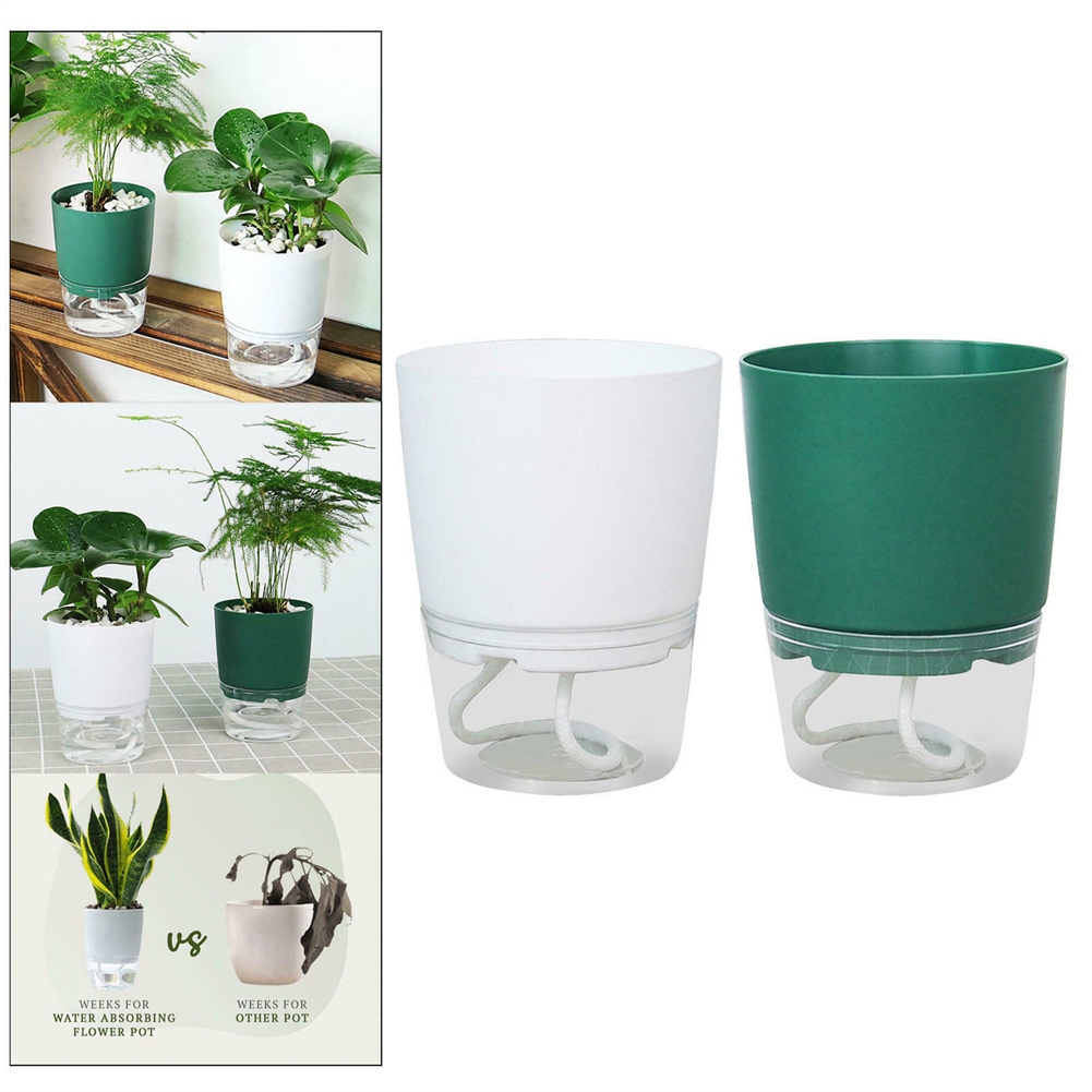 게으른 수경 꽃 냄비 자동 물 흡수 화분 투명 더블 레 - Automatic Plant Waterer 리뷰 및 가격