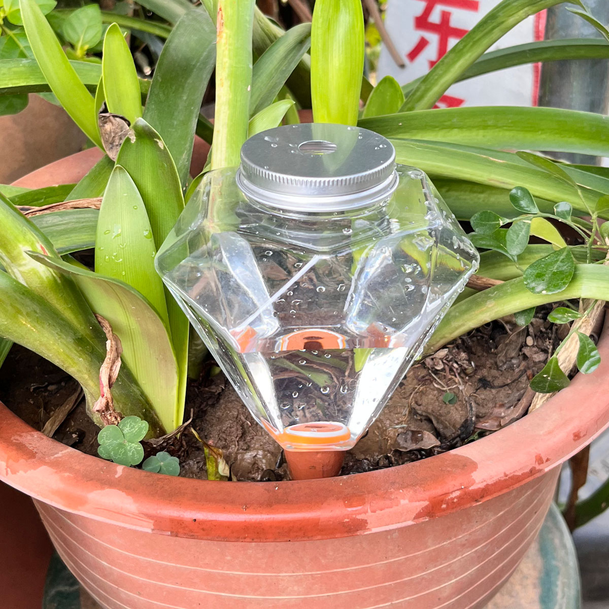 귀여운 플라스틱 자동 급수기 1개, 실내외 식물용 자동 - Automatic Plant Waterer 리뷰 및 가격
