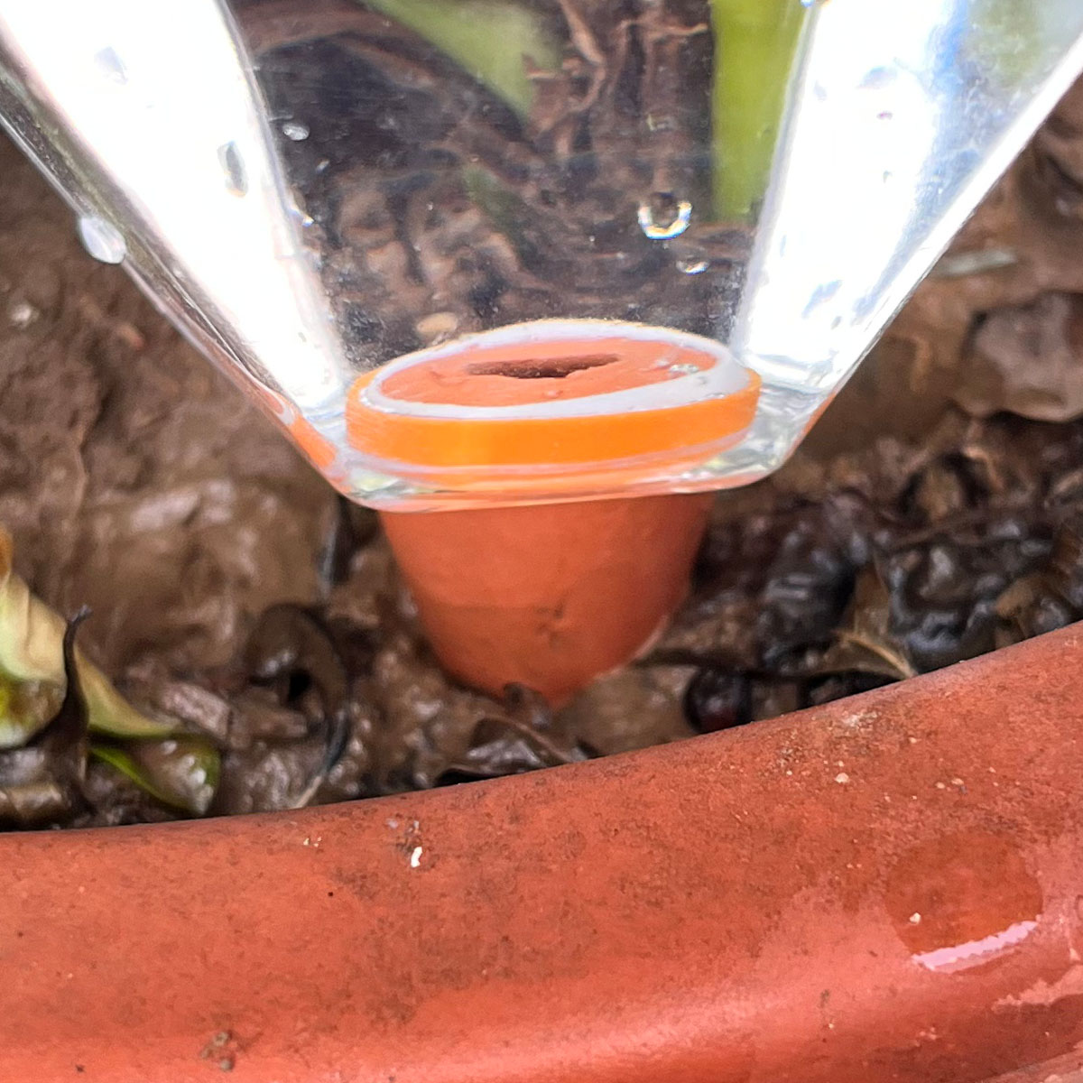 귀여운 플라스틱 자동 급수기 1개, 실내외 식물용 자동 - Automatic Plant Waterer 리뷰 및 가격