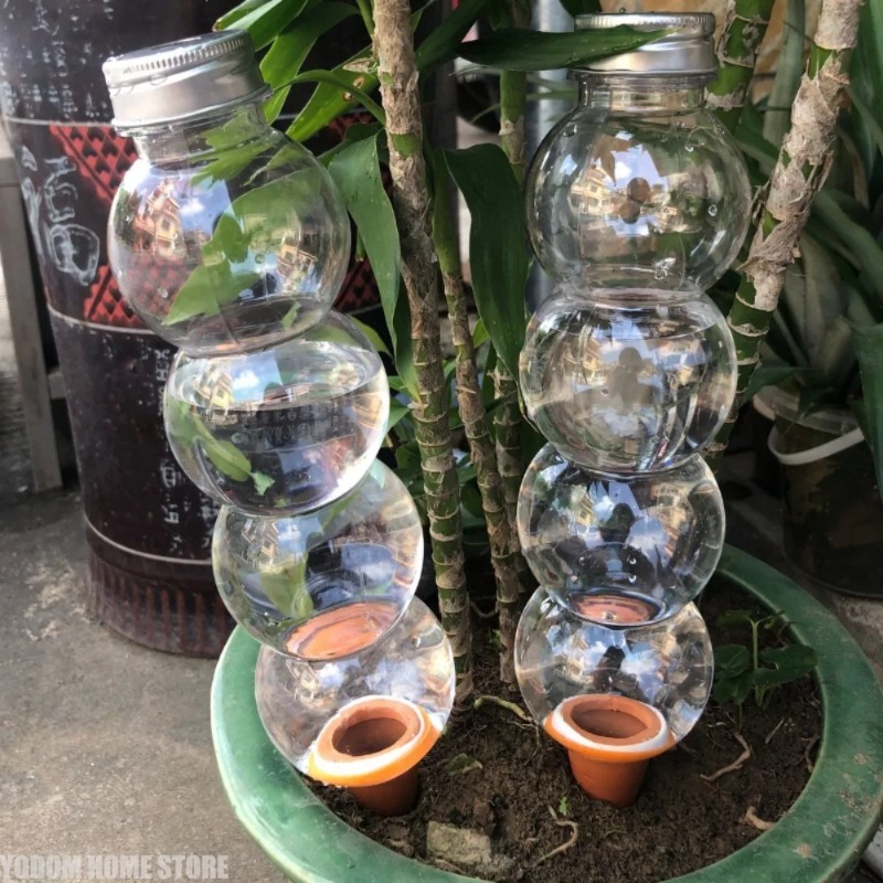 1개입 창의적인 자동 식물 급수기, 자동 급수 장치,  - Automatic Plant Waterer 리뷰 및 가격