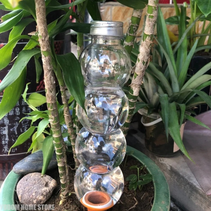 1개입 창의적인 자동 식물 급수기, 자동 급수 장치,  - Automatic Plant Waterer 리뷰 및 가격
