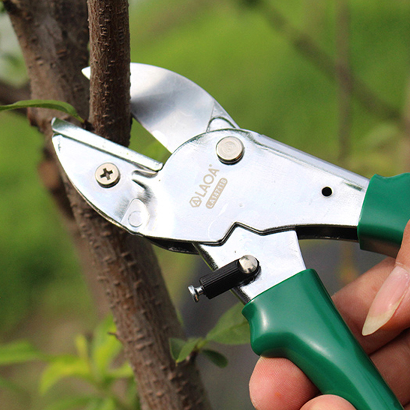 LAOA SK5 가지치기 가위 8인치 원예 가위 과일  - Gardening Tools Japanese 리뷰 및 가격